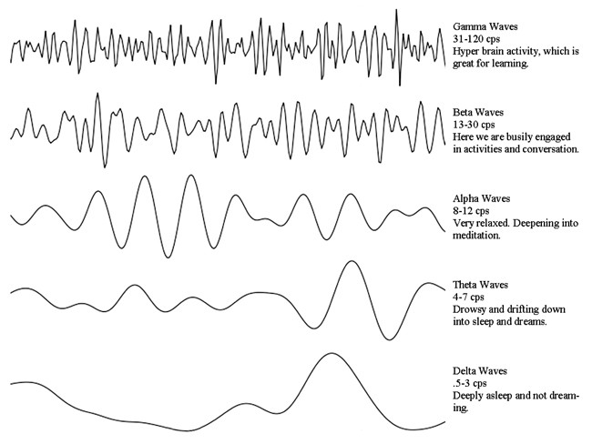 imagen ondas cerebrales de un EEG